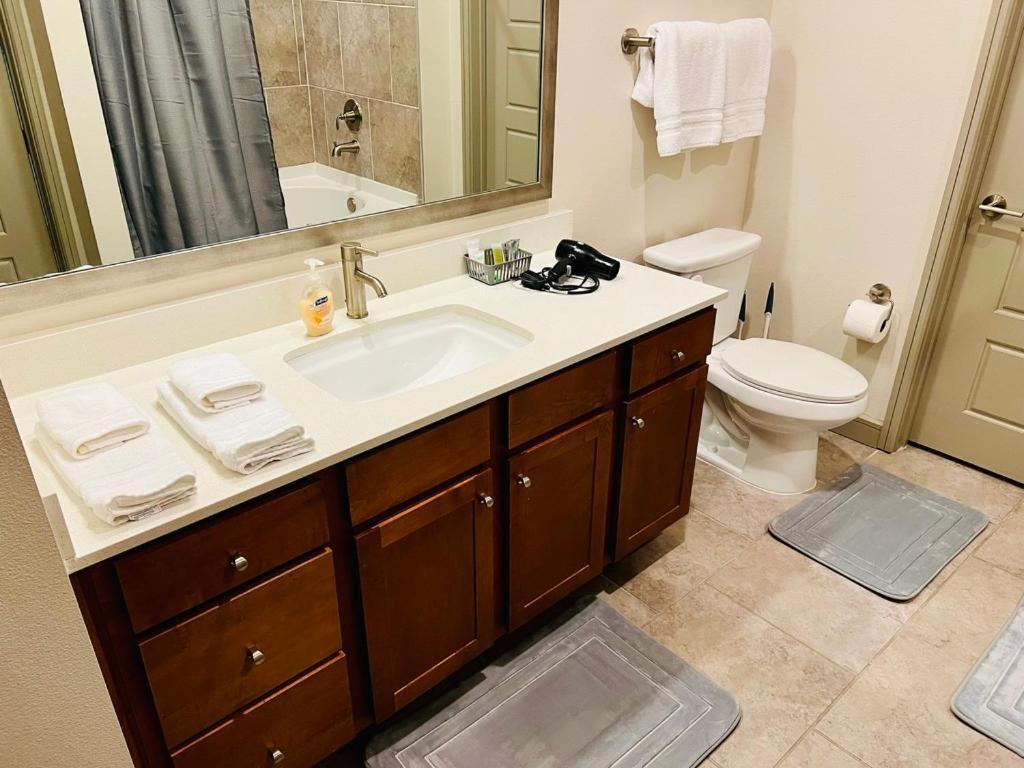 Apartament Downtown Apart 1 Bed 1 Bath Free Parking Houston Zewnętrze zdjęcie